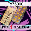 Fx75000 new06